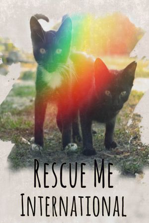 Rescue Me: International's poster