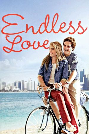 Endless Love's poster