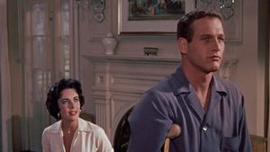 Cat on a Hot Tin Roof's poster