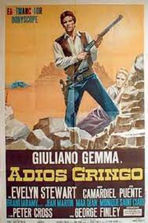 Adiós gringo's poster
