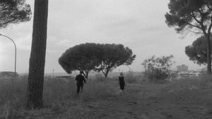 L'Eclisse's poster