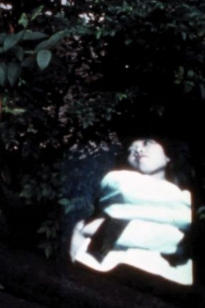 SUMMER IS GONE's poster