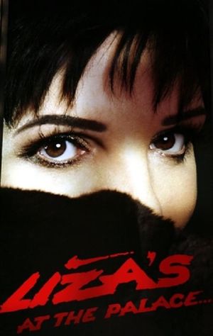 Liza Minnelli: Liza's at The Palace's poster