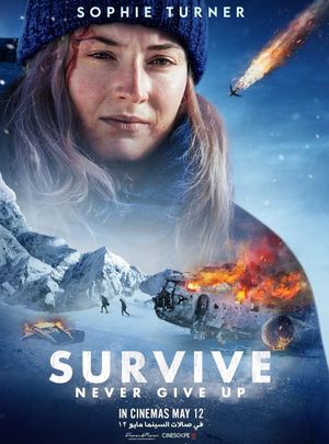 Survive's poster