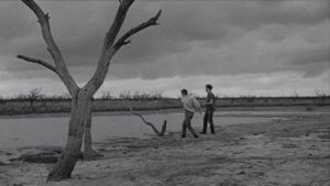 The Last Picture Show's poster