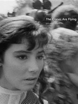 The Cranes Are Flying's poster