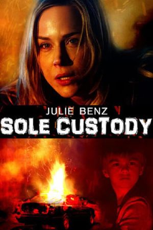 Sole Custody's poster