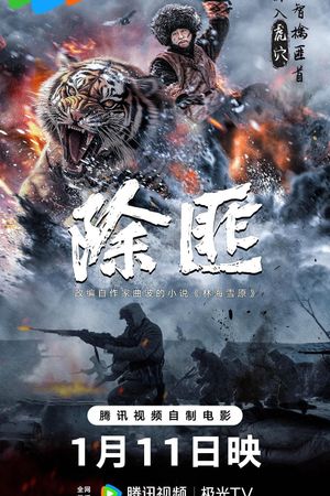 Chu Fei's poster