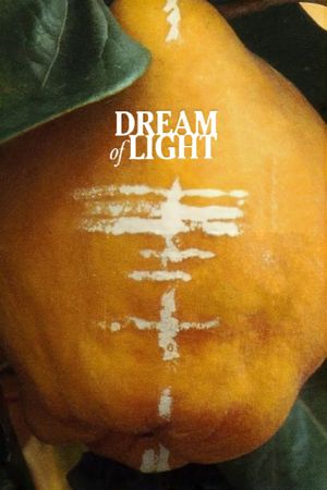 Dream of Light's poster