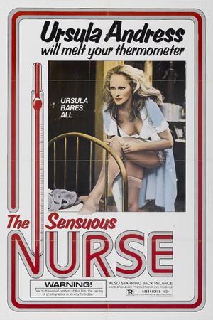 The Sensuous Nurse's poster