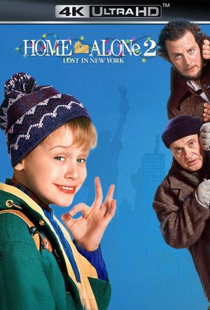 Home Alone 2: Lost in New York's poster