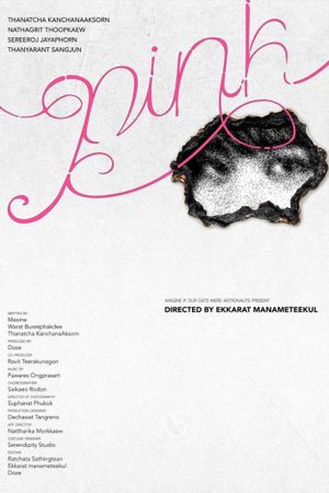 PINK's poster