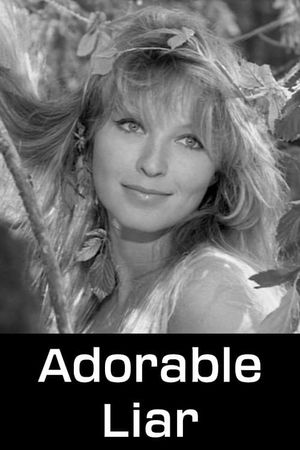 Adorable Liar's poster