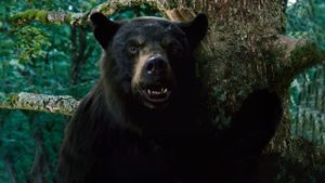 Cocaine Bear's poster