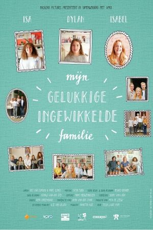 My Happy Complicated Family's poster