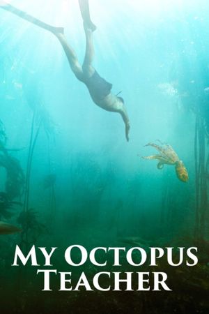 My Octopus Teacher's poster