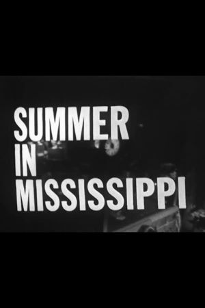 Summer in Mississippi's poster