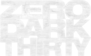 Zero Dark Thirty's poster
