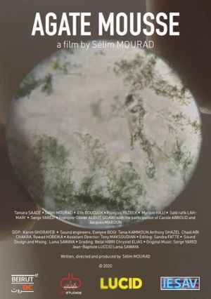 Moss Agate's poster image