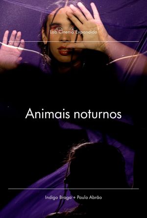 Nocturnal Animals's poster