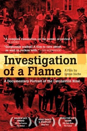 Investigation of a Flame's poster