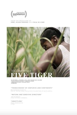 Five Tiger's poster