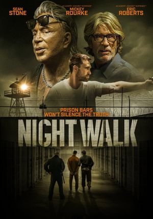 Night Walk's poster