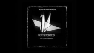 Waterbird's poster