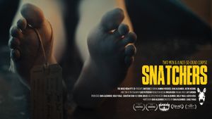 Snatchers's poster
