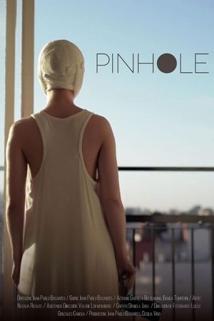 Pinhole's poster