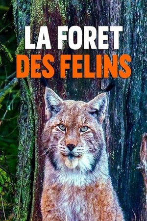 La forêt des félins: Chats sauvages et lynx du Harz's poster