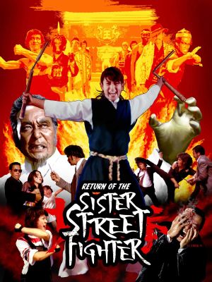 Return of the Sister Street Fighter's poster