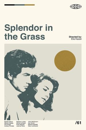Splendor in the Grass's poster