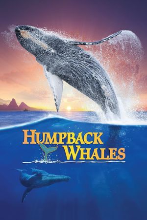 Humpback Whales's poster image