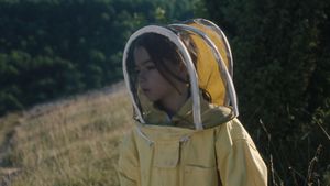 20,000 Species of Bees's poster