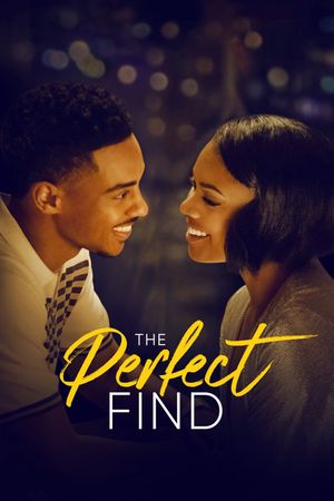 The Perfect Find's poster image