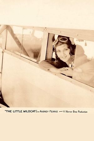 The Little Wildcat's poster