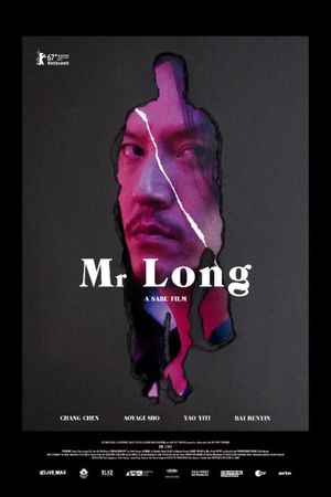 Mr. Long's poster