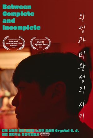 Between Complete and Incomplete's poster