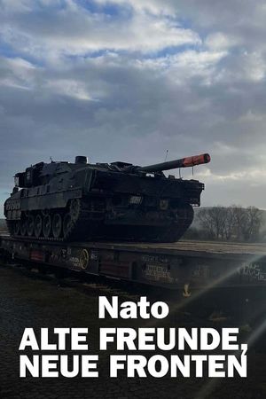 Putin, NATO, and Europe's poster