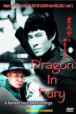 Dragon in Fury's poster