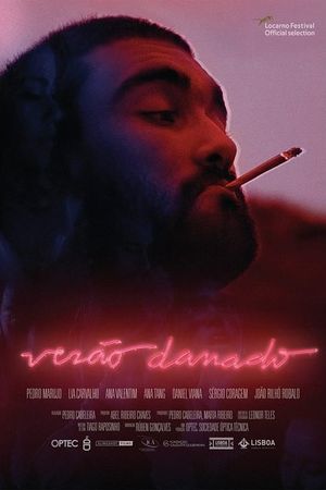 Damned Summer's poster