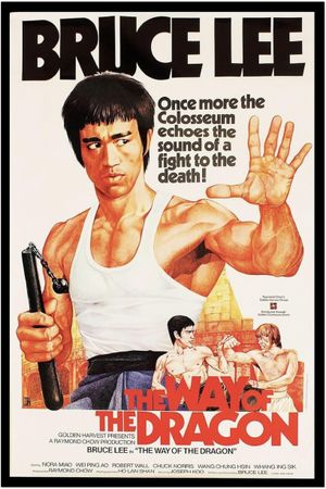 The Way of the Dragon's poster