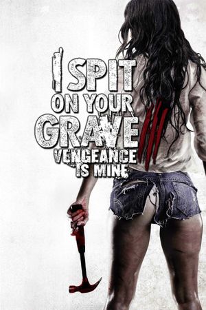 I Spit on Your Grave: Vengeance Is Mine's poster