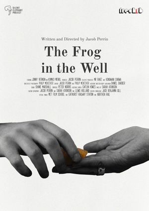 The Frog in The Well's poster