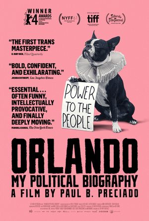 Orlando: My Political Biography's poster