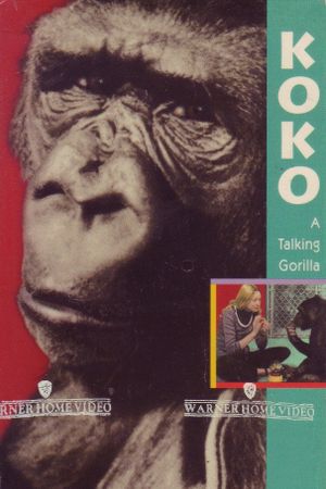 Koko: A Talking Gorilla's poster