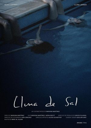 Lluna de Sal's poster image