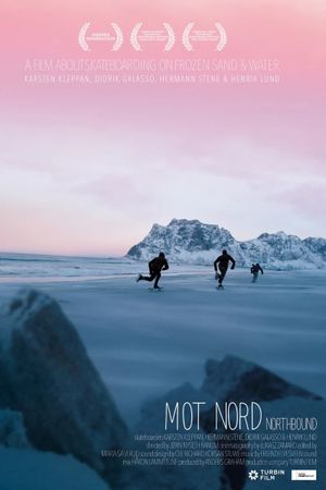 Northbound: Skateboarding on Frozen Sand's poster