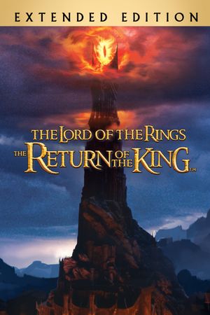 The Lord of the Rings: The Return of the King's poster